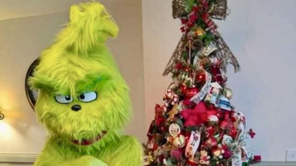 The Grinch in front of a Christmas tree. The Grinch in front of a Christmas tree.