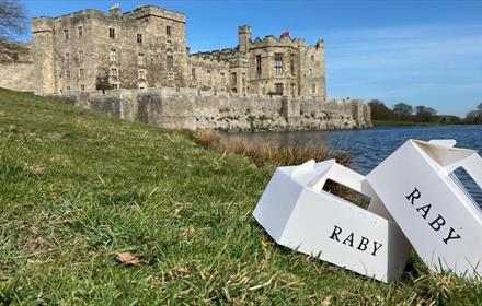 Picnic in the Park at Raby Castle. Image of Raby Castle on a beautiful sunny day.