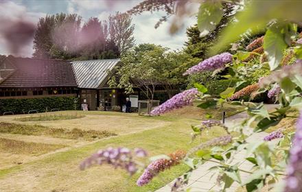 Image of Durham University Botanic Garden Visitor Centre surrounded by beautiful plants and shrubs.