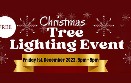 poster advertising Christmas Tree lighting event at Shotton Hall, Peterlee