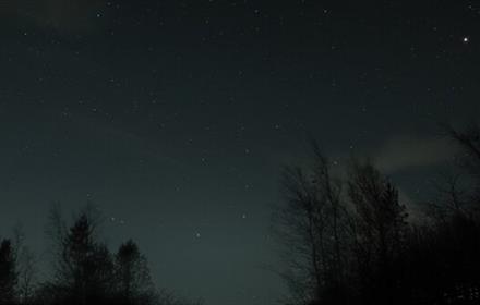 View of Jupiter and Mars in the night sky above the trees.
