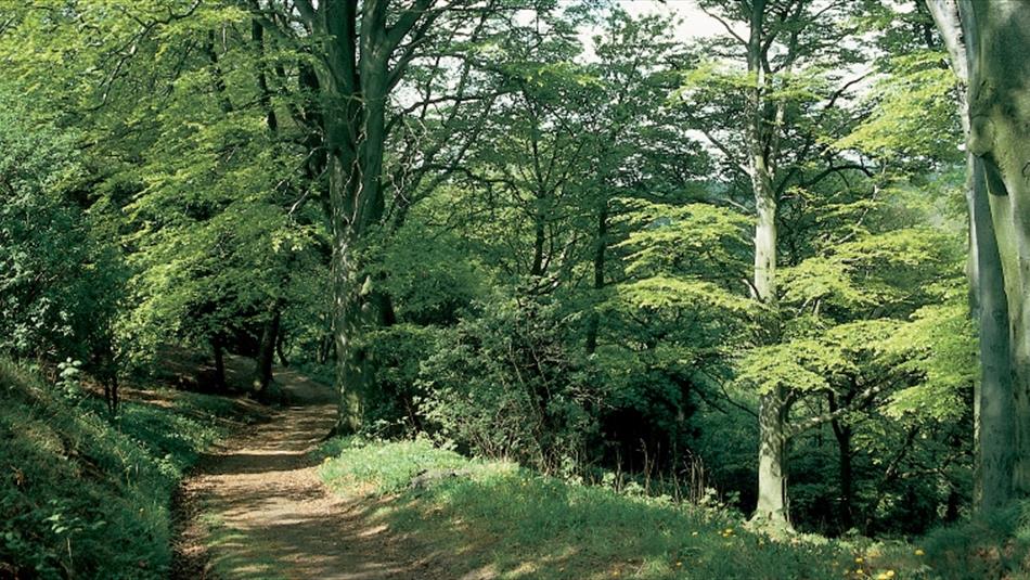 Castle Eden Denemouth Heritage Coastal Footpath