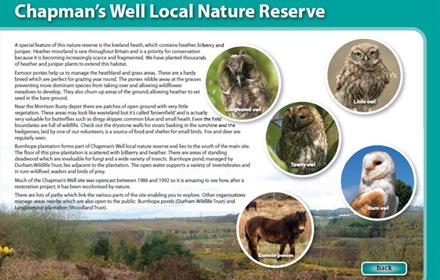 Chapman's Well Local Nature Reserve