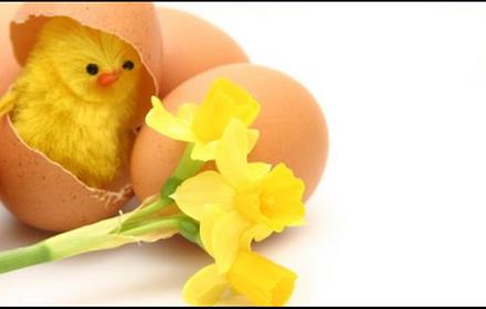 An image of Easter chicks hatching (handmade).