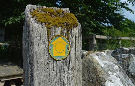 Signpost with yellow arrow.