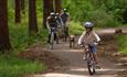 Family cycling in Hamsterley Forest