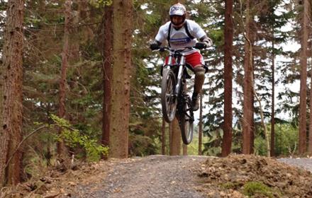 Hamsterley Forest - Black Cycle Trail