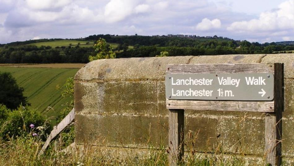 Lanchester Valley Railway Path (Walking and Cycling Route)