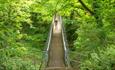 Image of a person walking over a bridge in Pelaw Wood.