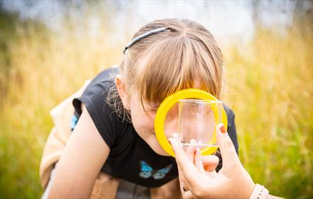 Girl looking through a magnifying glass into a bug pot