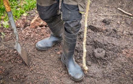 Image of wellie boots and someone digging in the soil.