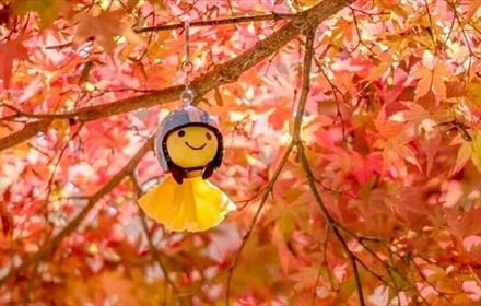 Japanese weather doll hanging from a tree