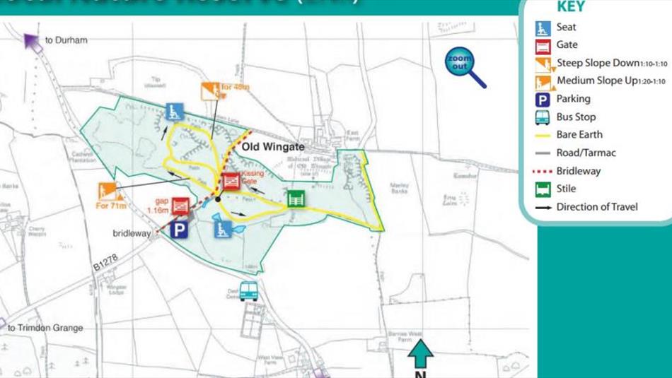 Wingate Quarry Local Nature Reserve Walk