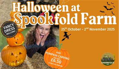 Halloween poster at Sharnfold Farm