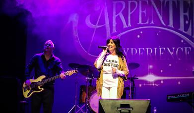 The Carpenters Tribute Show