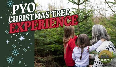 PYO Christmas tree experience poster