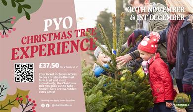 Poster for PYO Christmas Tree at Sharnfold Farm