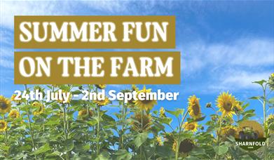 Summer Fun at Sharnfold Farm