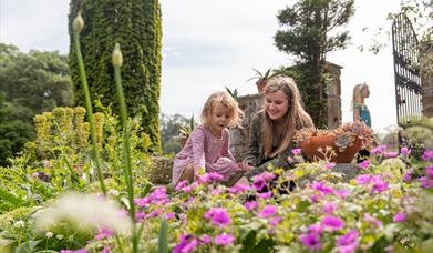 Growing Wild For Nature with the Garden Guardians