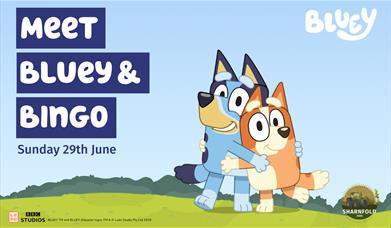 Promotion Bluey & Bingo