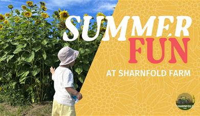 Promotion for Summer