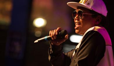 Bruno Mars Tribute Show