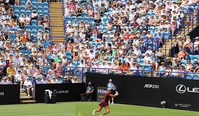 Lexus Eastbourne Open