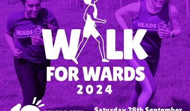 Participants on the Downs advertising the Walk for Wards event.