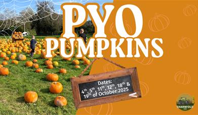PYO Pumpkins at Sharnfold Farm poster