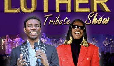 STEVIE WONDER SURPRISE !