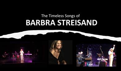 Barbara Streisand tribute