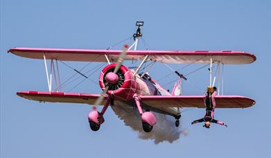 46 Aviation Wingwalking Team