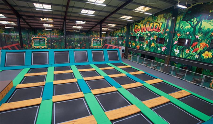 Go Wild! Trampoline Park