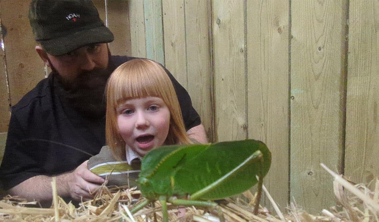 Animal Encounters at Knockhatch Adventure Park