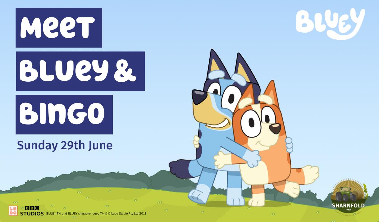 Promotion Bluey & Bingo