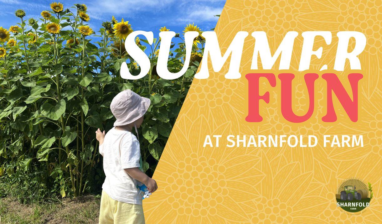 Promotion for Summer