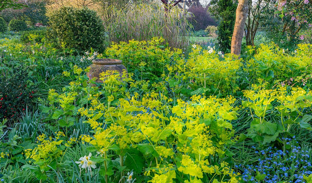 Flower border at Bates Green Garden