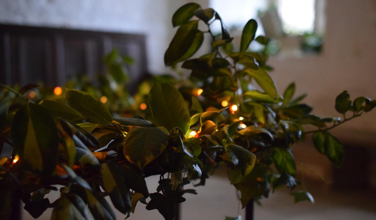 Christmas lights and foliage