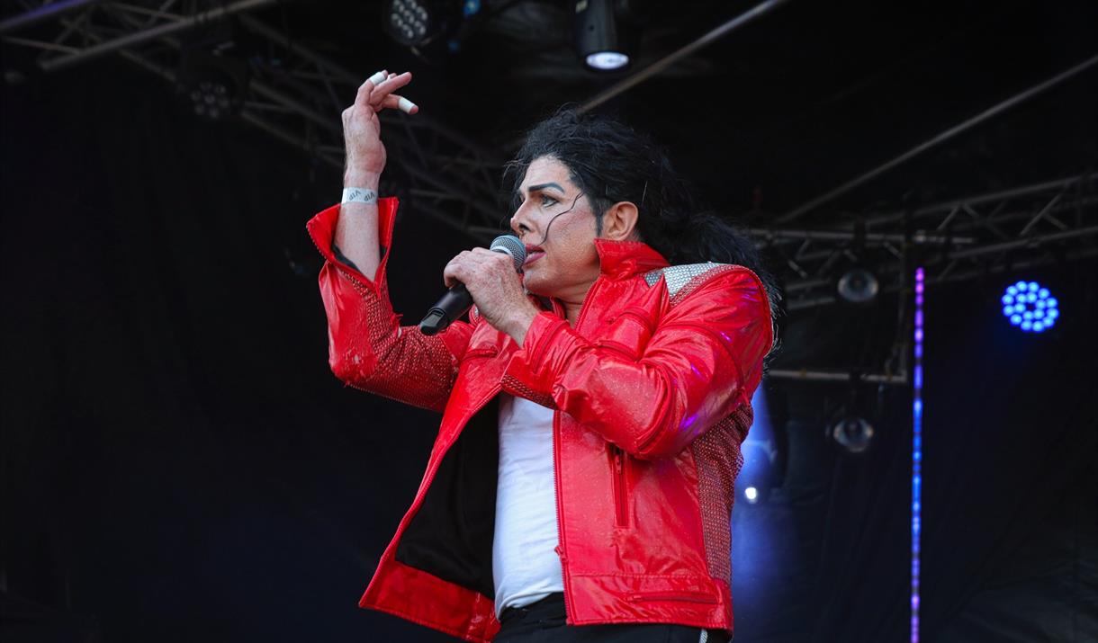 Michael Jackson Tribute Show