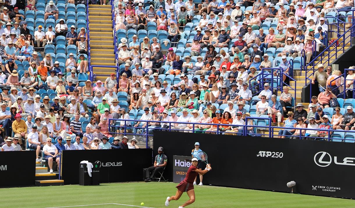 Lexus Eastbourne Open
