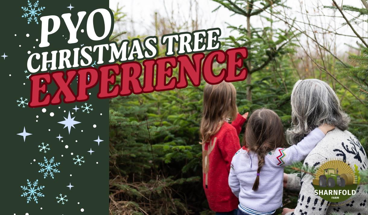 PYO Christmas tree experience poster