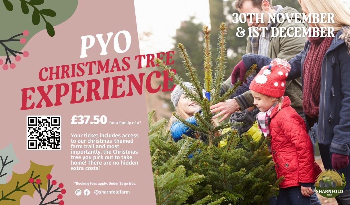 Poster for PYO Christmas Tree at Sharnfold Farm