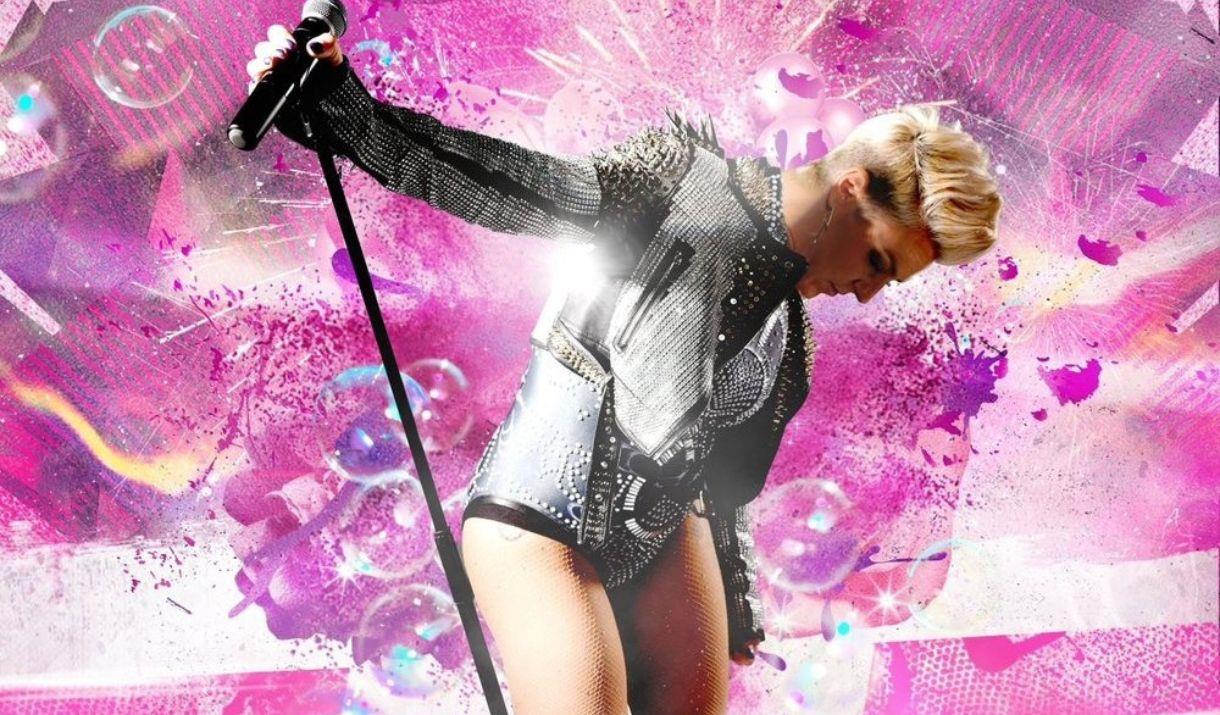 Pink-Ish Tribute band