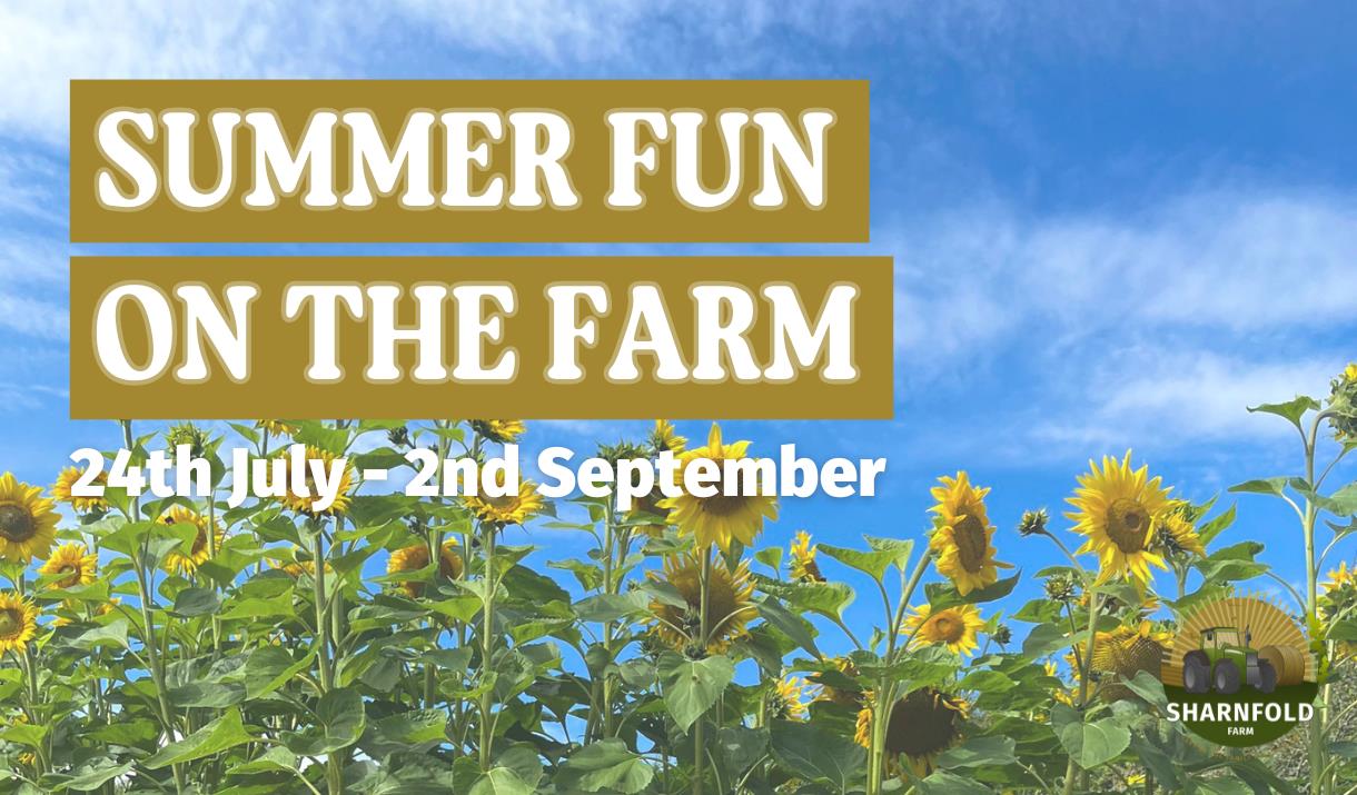 Summer Fun at Sharnfold Farm