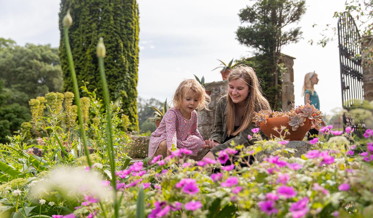 Growing Wild For Nature with the Garden Guardians