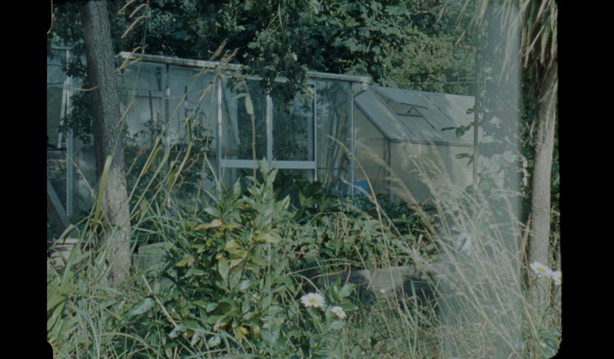 film