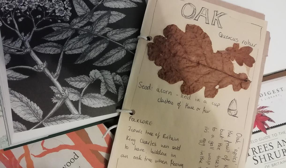 Tree Identification at Bates Green Garden