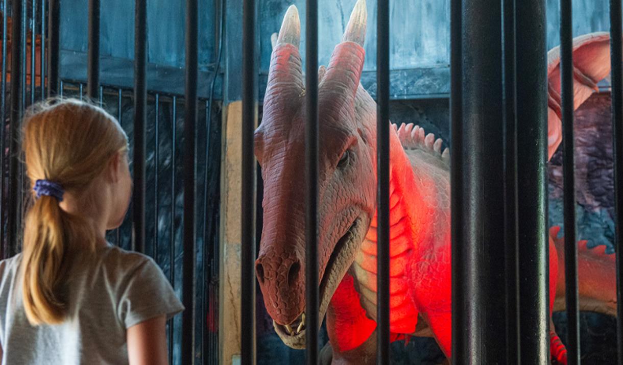 Knockhatch Adventure Park