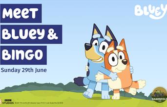 Promotion Bluey & Bingo