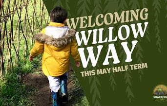 May Half term promotional artwork